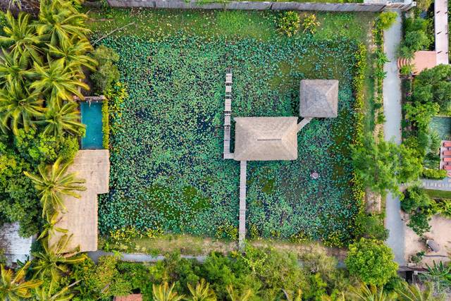Villa Coconut and its pool among the trees, seen from above