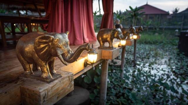 Elephant statues on the deck by the lotus lake
