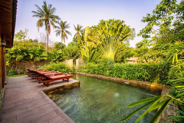 Private pool of a villa with sun loungers among palms